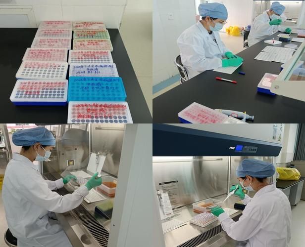 警方通报华宁县疫情最新情况:华宁昨天最新新闻