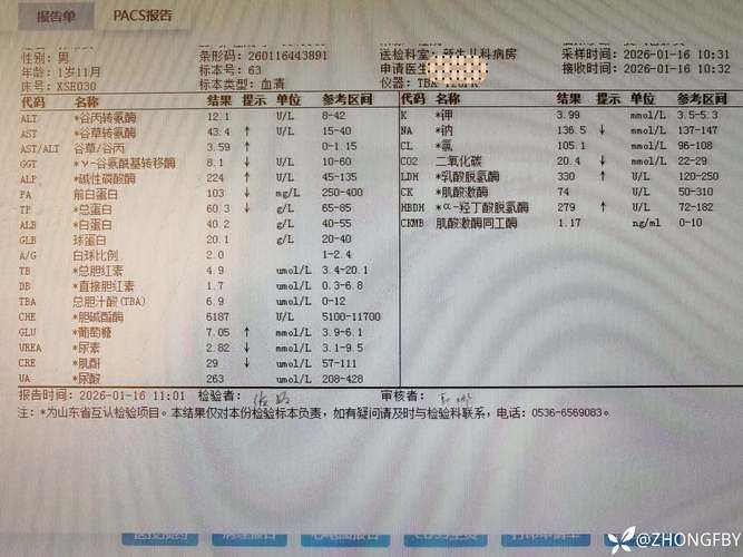 【黑龙江省黑河市爱辉区昨日新增5例境外输入病例,黑河爱辉区确诊病例】