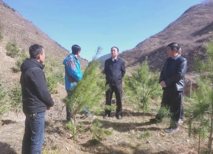 西和县近期新增破12/西和县发布