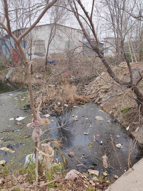 巨野县2月17日新增感染趋势反弹/巨野新增肺炎