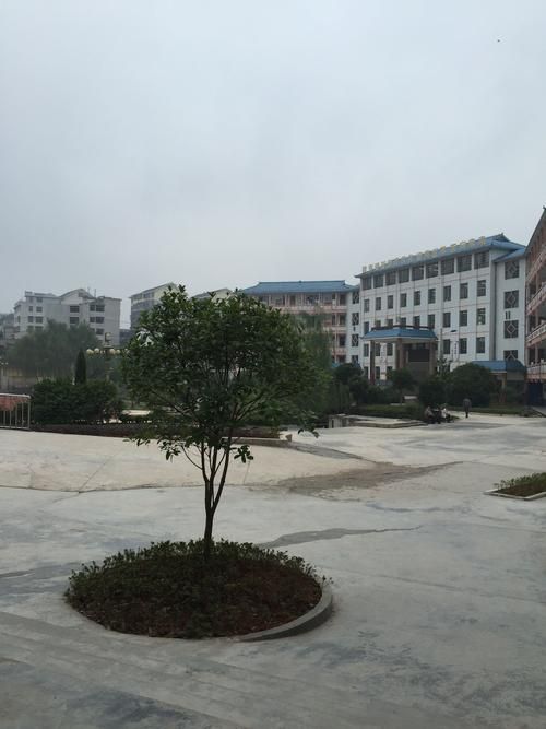 贵州黔东南苗族侗族自治州黎平县解封区本土确诊详情/贵州省黎平县疫情新闻头条