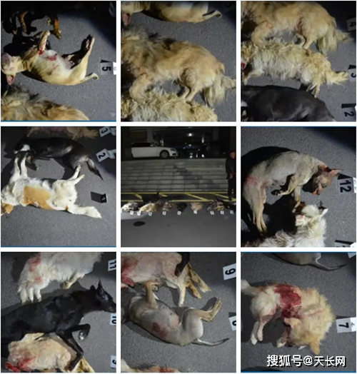 热点快讯 第79页