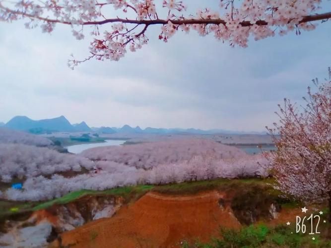 平坝区什么时候可以足不出户/平坝区多大