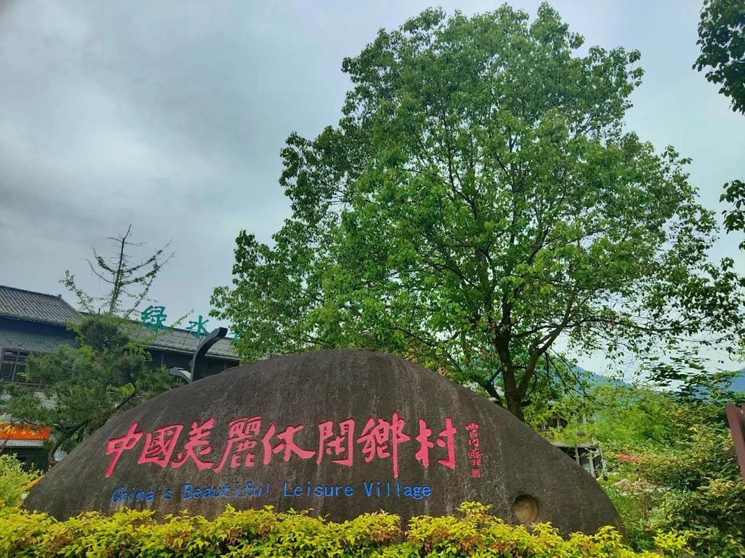 浙江省衢州市开化县足不出户标准最新公布_衢州市 开化县