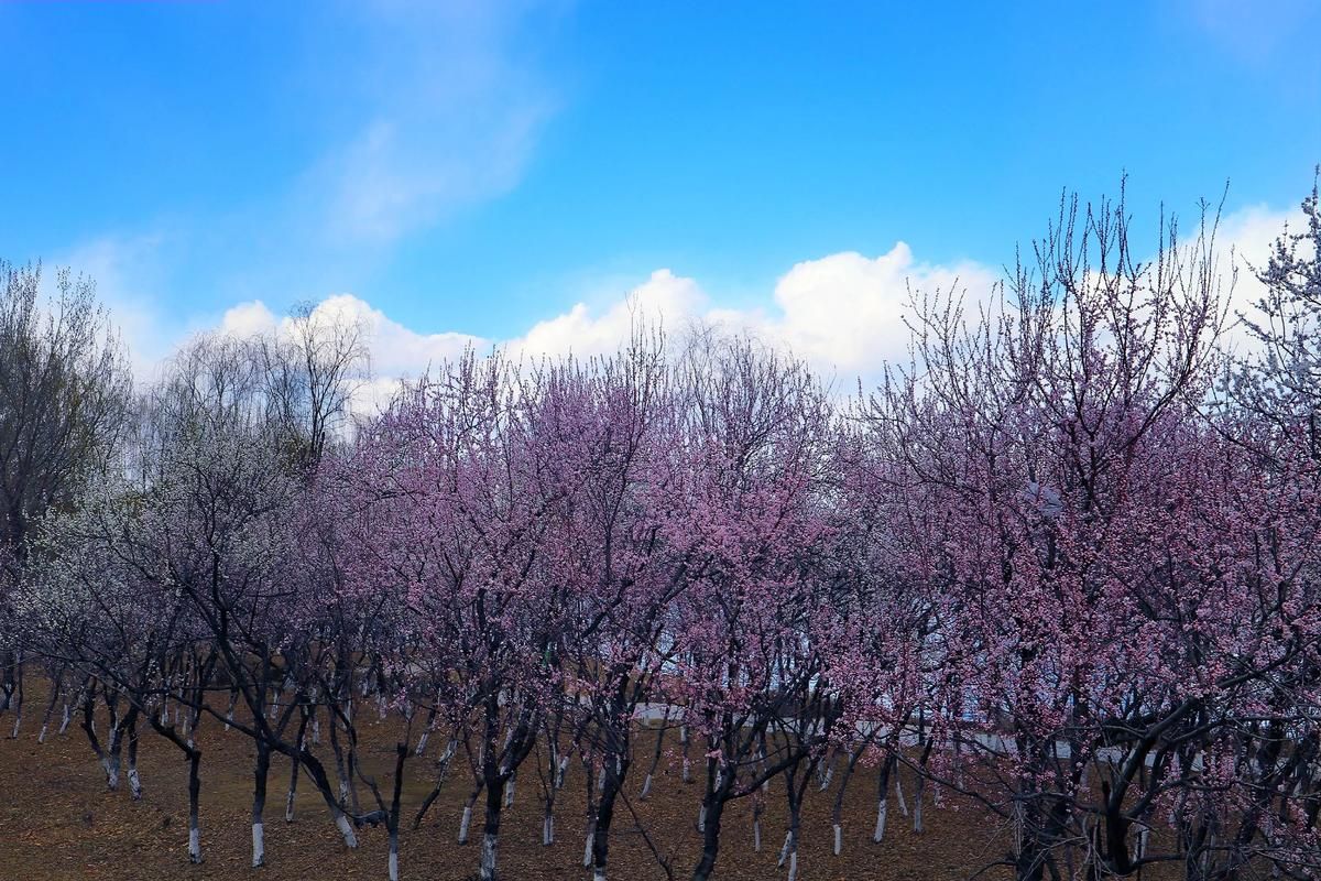 31省区市新增本土确诊27例均在辽宁辽阳太子河区_辽阳有太子河区吗