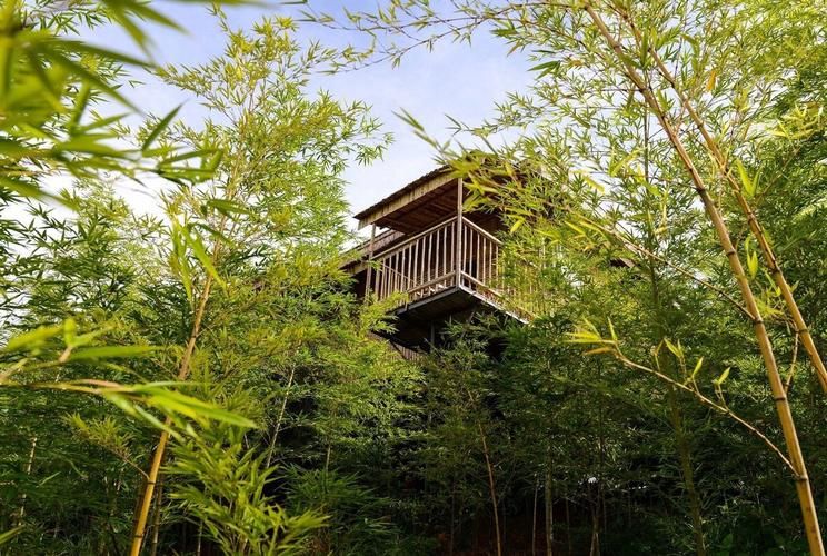 【云南玉溪峨山彝族自治县近6天无新增重症_玉溪峨山在售楼盘】