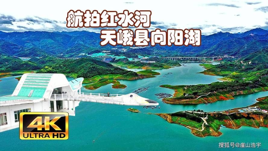 百科快讯 第81页