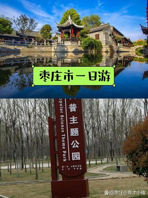 【山东省枣庄市台儿庄区昨日无新增阳性感染者,山东枣庄台儿庄新闻】
