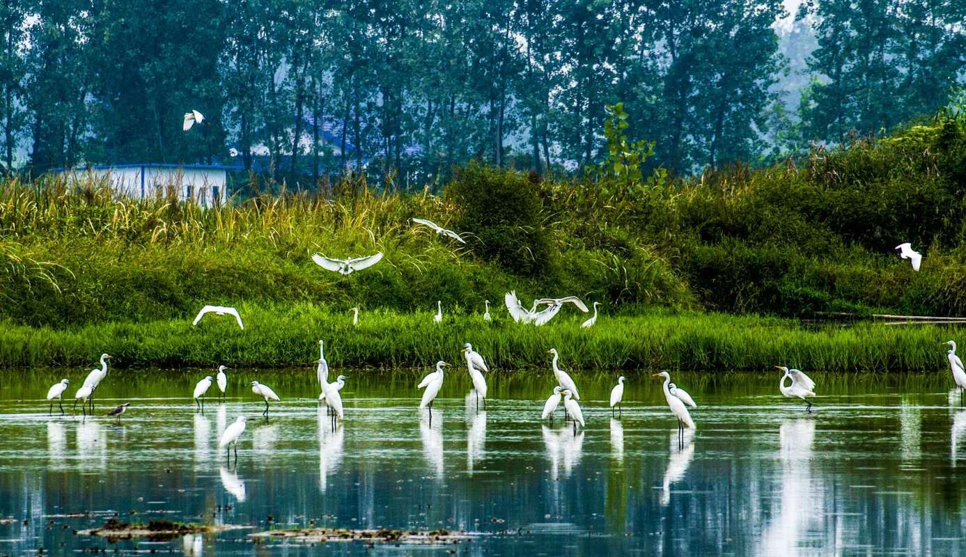 益阳大通湖管理区什么时候可以静默_益阳大通湖在哪