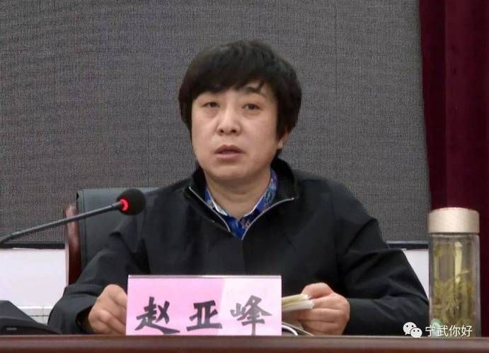 【山西省忻州市宁武县静默区本土确诊详情_山西省忻州地区宁武县】
