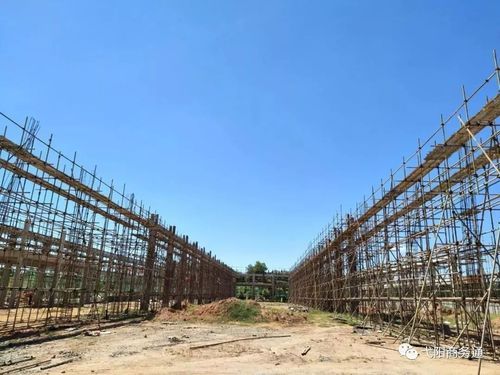 弋阳县今冬核酸阳性轨迹公布(弋阳疫情最新消息通知)