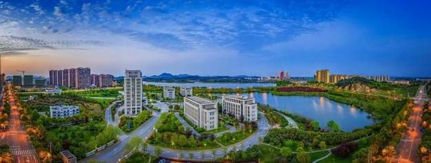 1地新增阳性感染者10例均在枞阳县:枞阳有没有新型肺炎