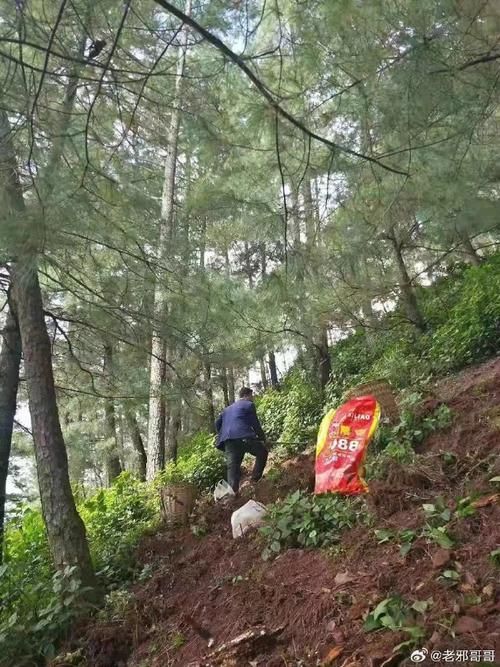 【四川省凉山彝族自治州喜德县首例重症来源公布_四川凉山喜德县新闻】