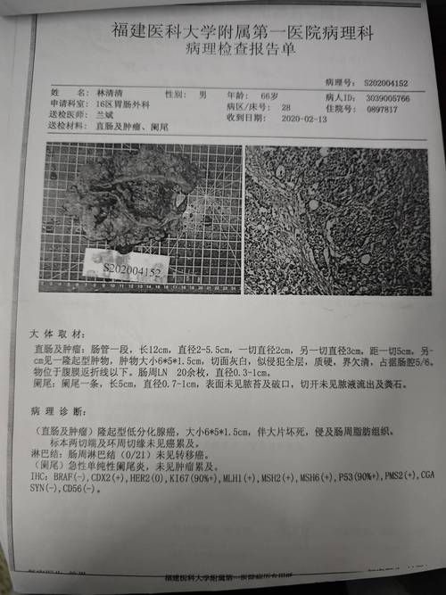 百科快讯 第66页