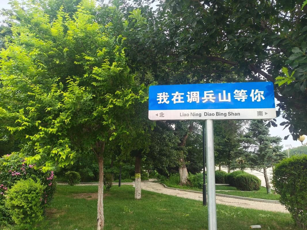 辽宁省铁岭市调兵山市昨日新增12例阳性感染者:铁岭调兵山人口有多少