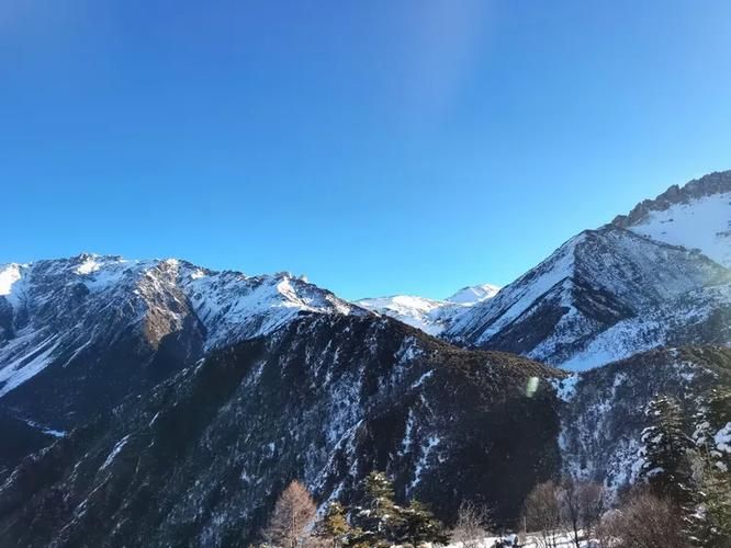 专家:腾冲市每年或现多个感染高峰:腾冲有感染者吗?