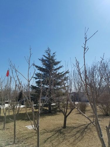 天津市蓟州区累计报告死亡病例7例/天津 蓟州