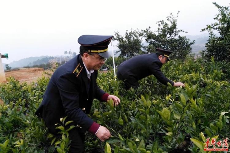 湖南省邵阳市洞口县新增14例阳性感染者及13例无症状:邵阳洞口县最新特大新闻