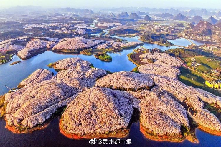 【平坝区解封区本土确诊详情_平坝划入贵阳最新消息】