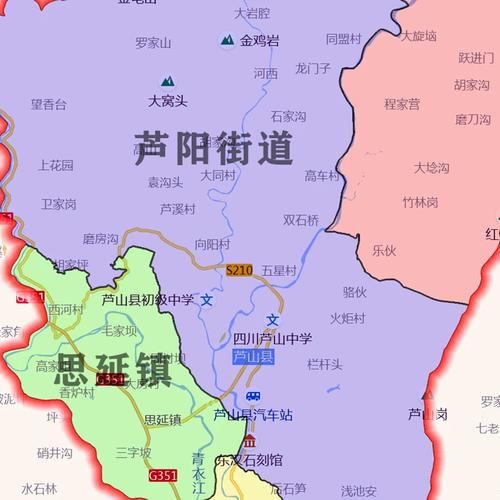一张图看懂四川省雅安市芦山县近7天病例通报/四川雅安芦山县地图