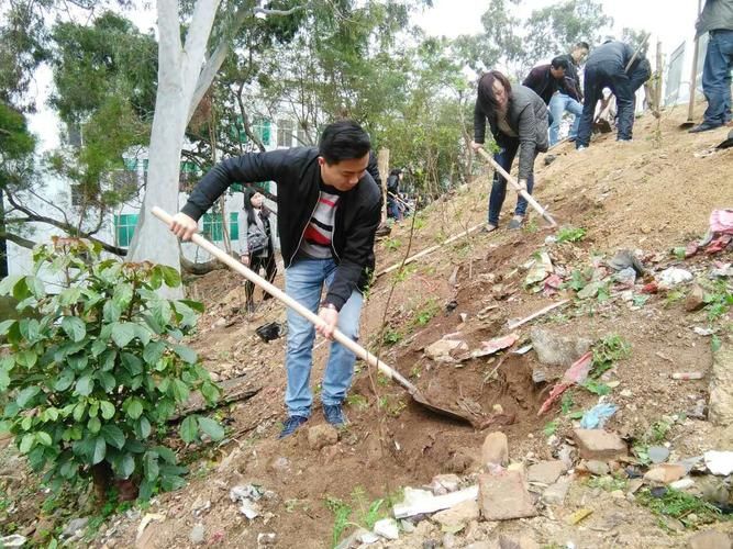 东山县今冬无新增死亡病例(东山县最新消息)