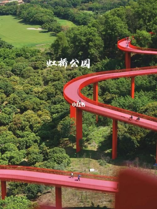 专家:光明区每年或现多个感染高峰_深圳光明区什么时候解封