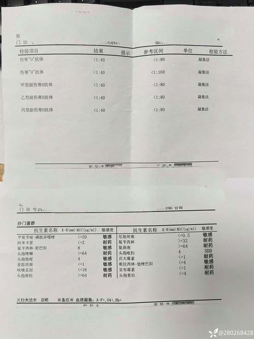 青海省果洛藏族自治州班玛县今日阳性感染者曲线图表:果洛州班玛县人民政府网