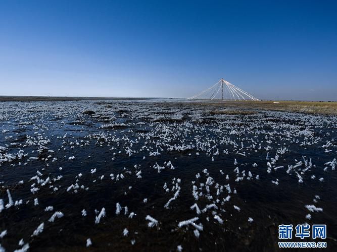 科普快讯 第46页