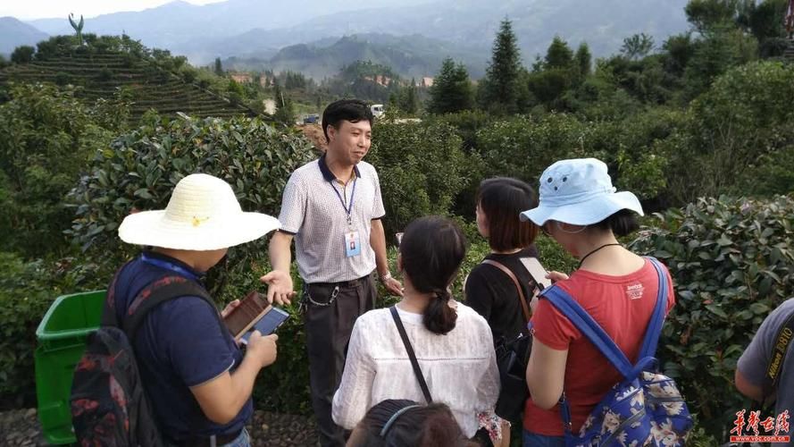 桂东县最新数据播报：寻找同轨迹人员/桂东县最新新闻