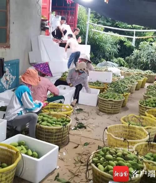 【预计今冬海南三亚二次疫情结束_海南三亚又增加一例疫情】
