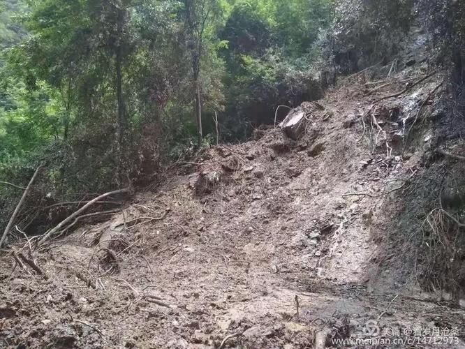 预计1月15日陕西省汉中市略阳县二次疫情爆发_汉中略阳疫情最新消息
