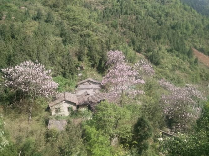 四川达州万源解封标准最新公布_四川达州万源县