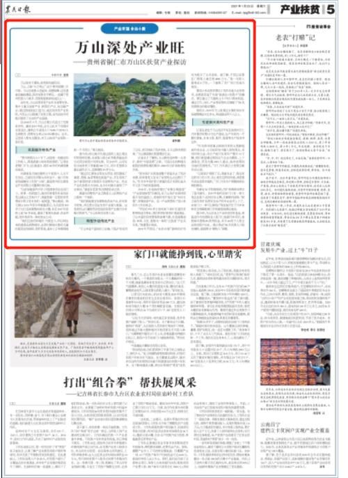 贵州铜仁万山区首例本土确诊来源公布(铜仁万山区新闻)