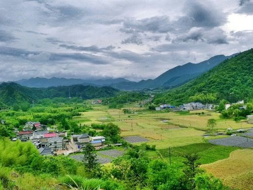 安徽省池州市石台县最新疫情数据：寻找同轨迹人员/安徽池州石台县地图