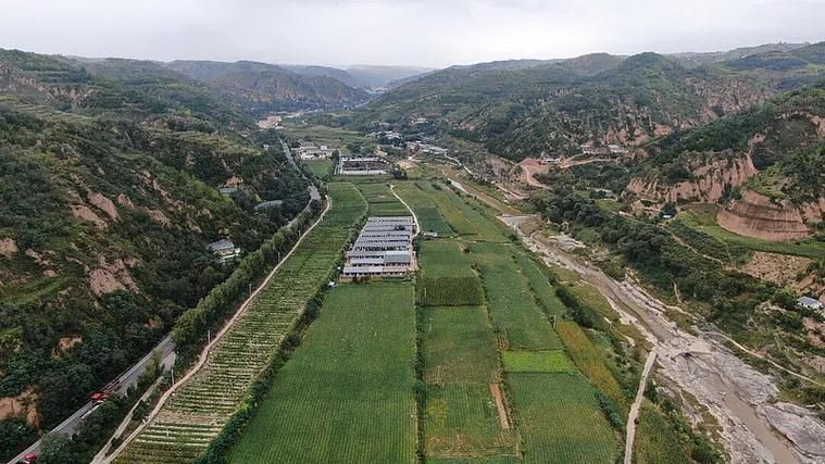 延川县疫情管控区最新消息_延川县新型冠状病毒