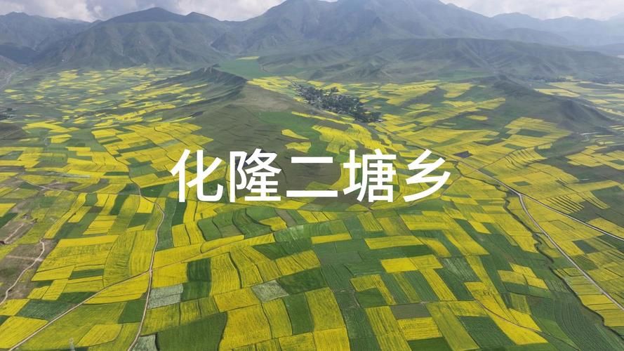 【31省新增阳性感染者14例均在青海省海东市化隆回族自治县,海东市化隆最近新闻】