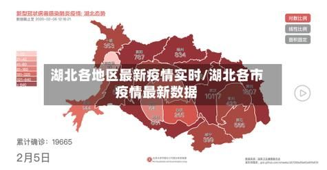鼎城区7月11日新增境外输入20例/鼎城区新型冠状病毒