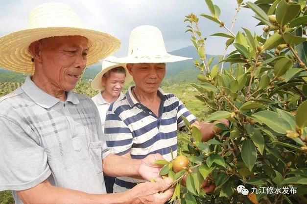 江西省九江市修水县近期新增感染趋势爆发(江西九江修水最新疫情)