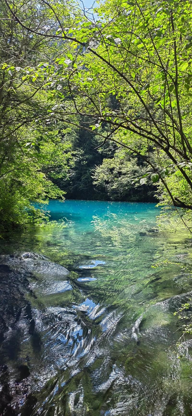 【四川省阿坝藏族羌族自治州九寨沟县6月29日新增破18,九寨沟阿坝旅游网】