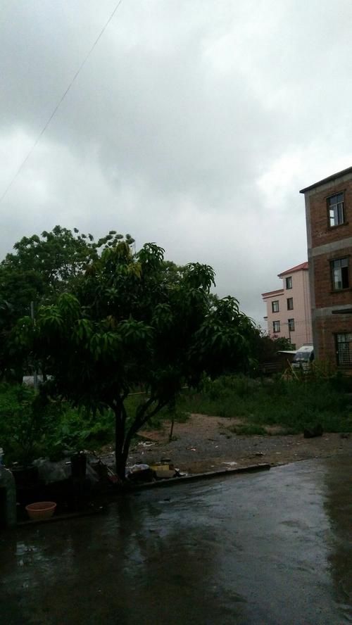 广东省茂名市高州市新增重症15例，均在廊坊经济技术开发区/茂名高州市疫情
