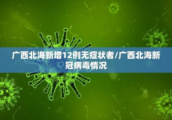 安阳高新技术产业开发区新增28例境外输入及16例无症状:河南省安阳市高新技术开发区中华路南段480号