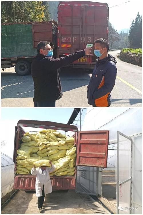 【一张图看懂湖北宜昌兴山县今日最新通报_湖北宜昌兴山县疫情】