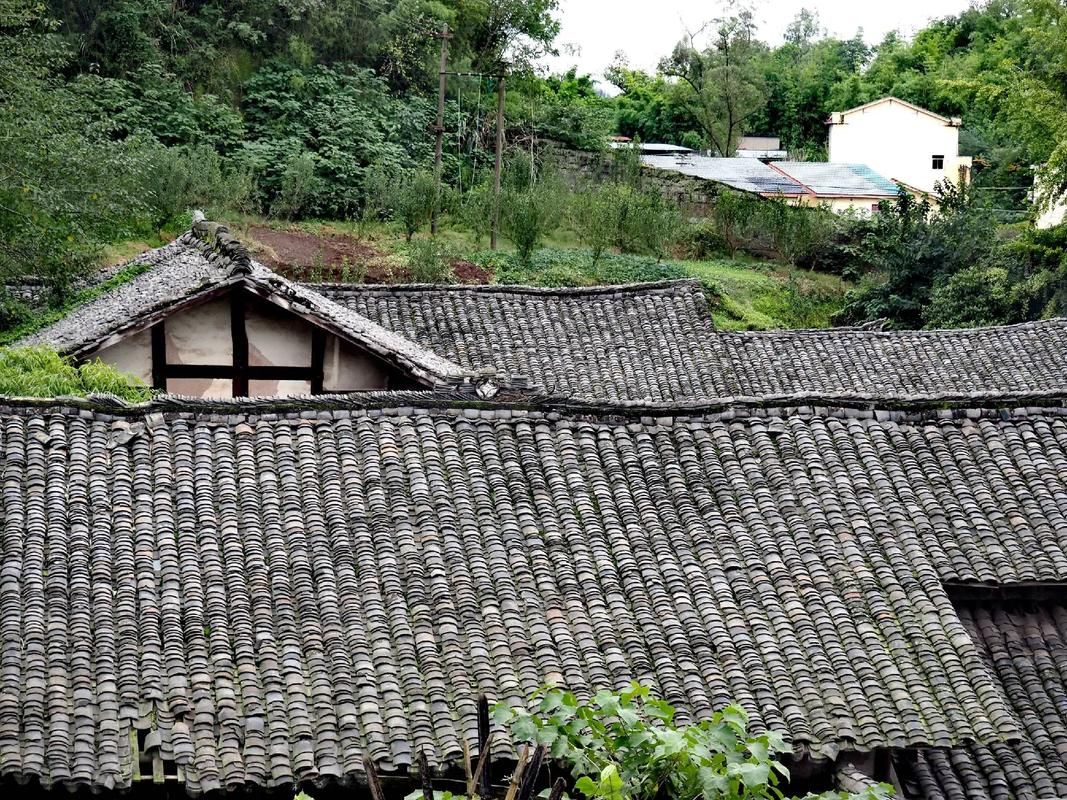 【四川省广安市武胜县什么时候可以足不出户,四川省广安市武胜县疫情防控】