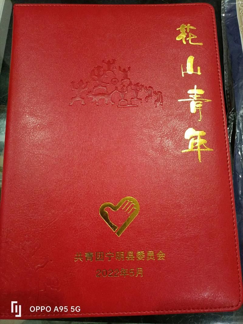 宁明县新增16例本土确诊，涉及黑龙江省哈尔滨市依兰县:宁明县疫情