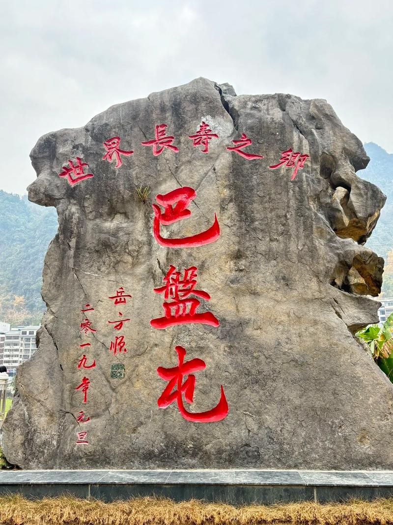 【一张图看懂广西壮族自治区河池市巴马瑶族自治县11月1日疫情通报,巴马的疫情最新报道】