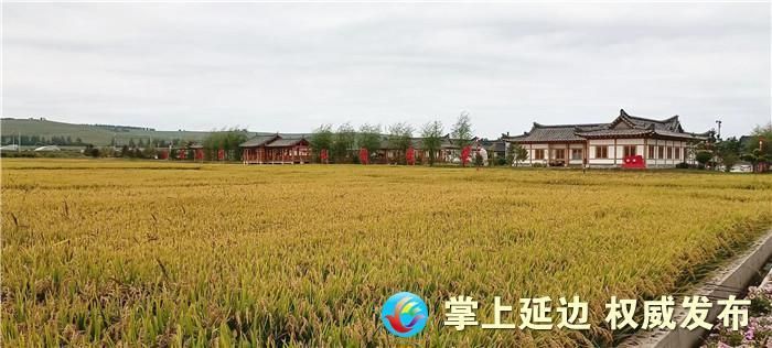 吉林省延边朝鲜族自治州龙井市今冬新增感染趋势蔓延/延边晨报龙井新闻