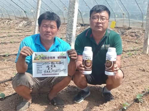 【山东聊城莘县疫情足不出户最新消息,聊城莘县最新进展疫情】