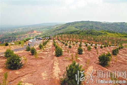 浮山县现有阳性感染者21例:浮山县最新新闻